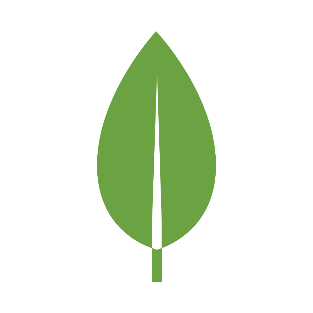 MongoDB leaf icon